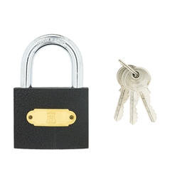 P1F80 - Iron Padlock